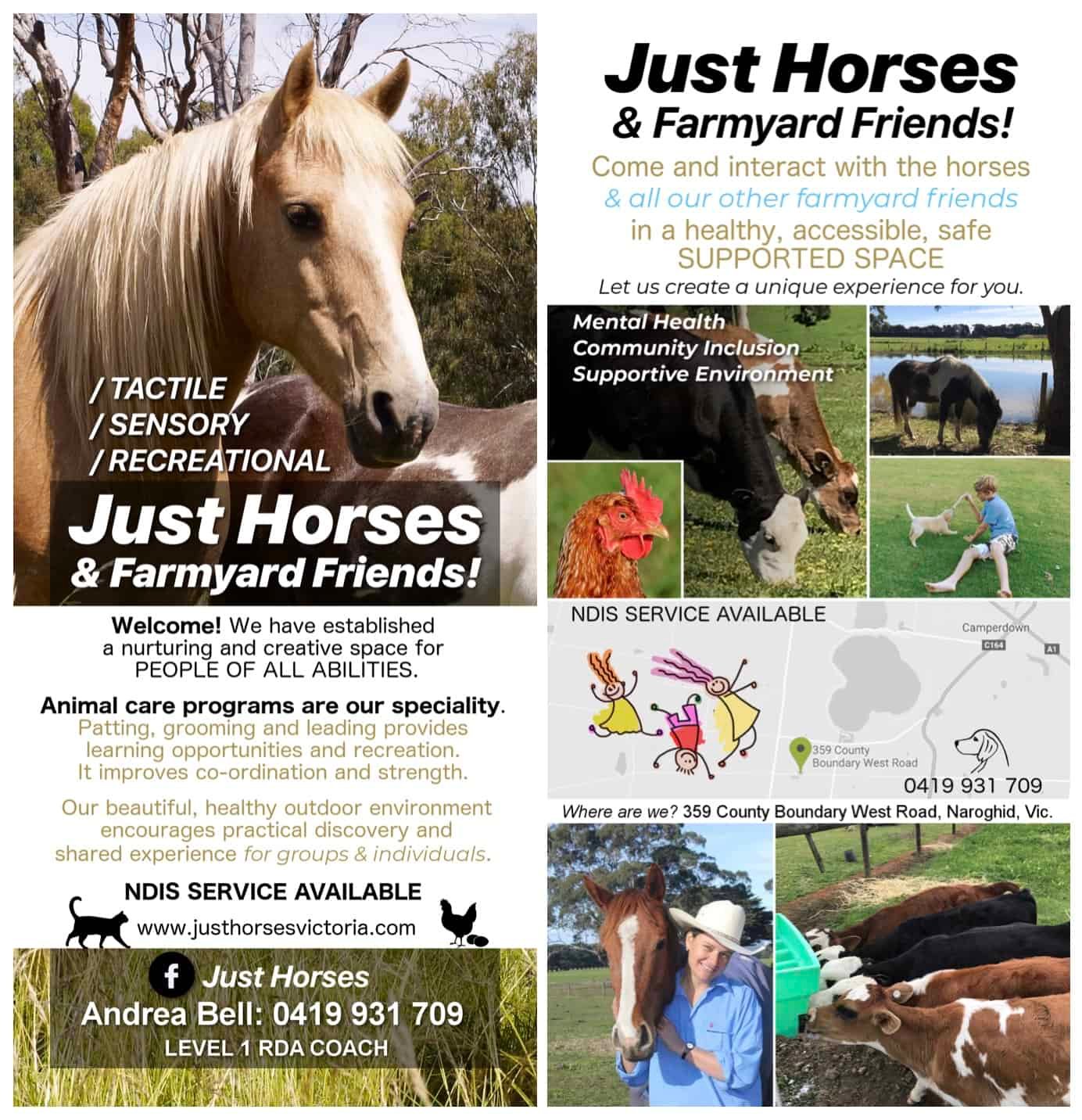 Just_Horses_Promo_Image_Nov2018 Just_Horses_Promo_Image_Nov2018